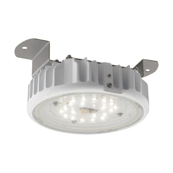 岩崎電気 岩崎 屋内用天井直付LED器具(低温対応形) EQCL1002RSA9A 1台 536-7467（直送品）