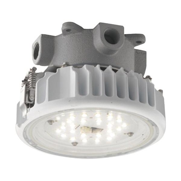 岩崎電気 岩崎 屋内用天井直付LED器具(低温対応形) EQCL1003DSA9A 1台 537-0633（直送品）