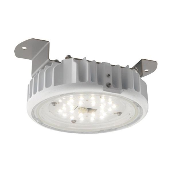 岩崎電気 岩崎 屋内用天井直付LED器具(低温対応形) EQCL1003RSA9A 1台 535-1725（直送品）