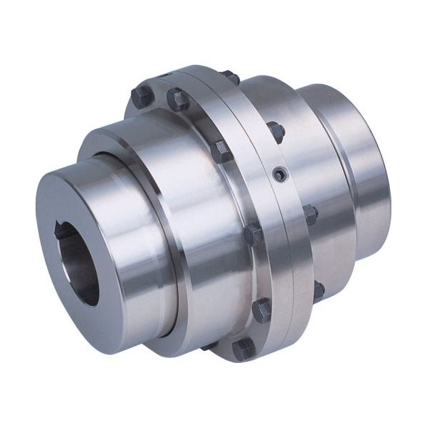 九州ハセック ギヤカップリング 両並形 NSSシリーズ NSS-103 1個 578-8551（直送品）