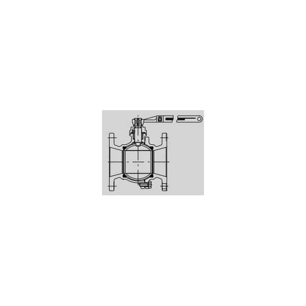桑名金属工業 BM10K F2B マレブルボール弁【フランジ・1段レデューストボア】 125A BM10KF2B 1個(直送品)