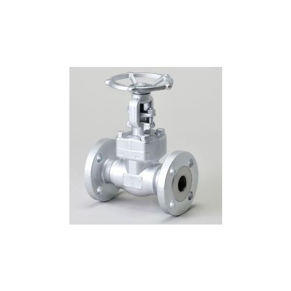 桑名金属工業 T20KFS 鍛鋼製仕切弁(JPIー7Sー57準拠・材質A105・接続F