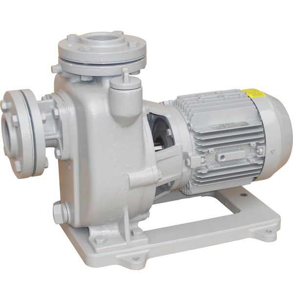 寺田ポンプ 陸上ポンプ (鋳鉄製) MPJ7-55.51E (三相200V 50Hｚ) MPJ4-51.51E(モートルツキ50HZ) 陸上ポンプ（鋳鉄製） MPJ4-51.51RNの