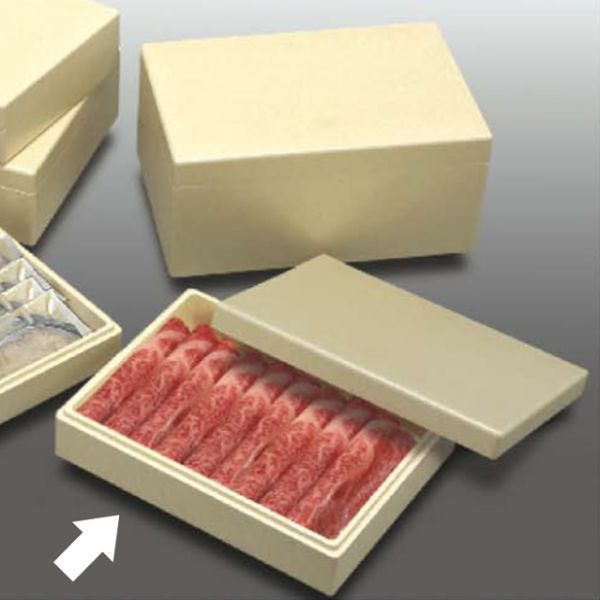 積水化成品中部 保存箱 鮮 TWB-2 蓋付 1ケース(60個)（直送品）