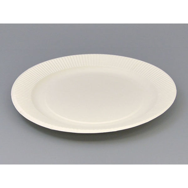 ペーパーウェア 紙皿 プレートスタンダード 業務用 No.9 00086785 1ケース(1200個(100個×12))（直送品）