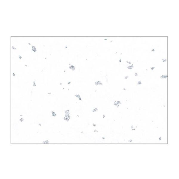 カミイソ産商 テーブルマット 尺3寸 No.329 銀閣 しろいろ 00410738 1袋(100個)（直送品）