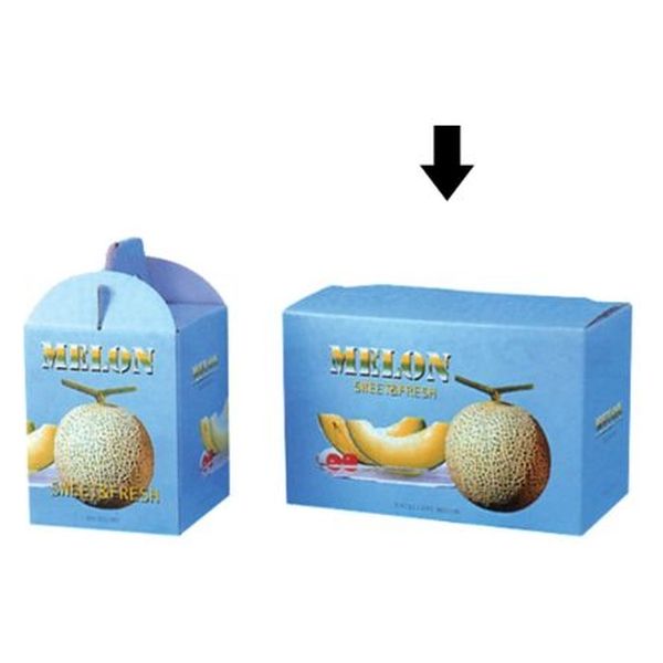 ギフト箱 紙箱 ビゲストメロン 2個用 00422715 1ケース(50個(10個×5))（直送品）