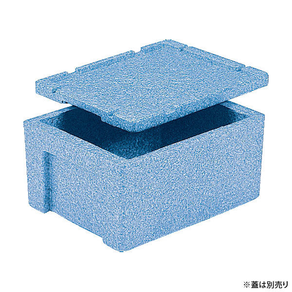 三甲 保存箱 EPボックス#20 00475981 1ケース(10個)（直送品）