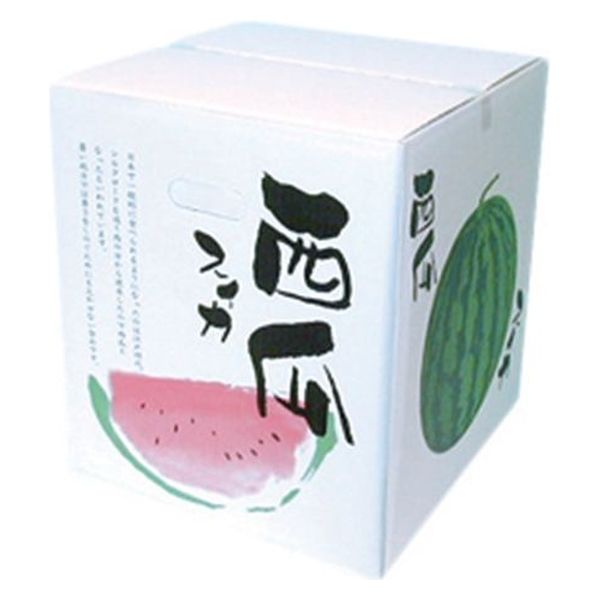 ギフト箱 スイカ箱 特大 00572781 1ケース(20個(10個×2))（直送品）