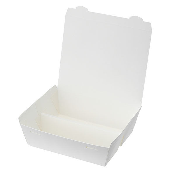 東罐興業 弁当容器 PA-LUNCHBOX(L)ムジ 00710653 1ケース(200個(50個×4))（直送品）