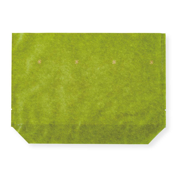 コバヤシ 惣菜袋 KBカラフルデリ2 270×190 緑 00764500 1ケース(2000個(50個×40))（直送品）