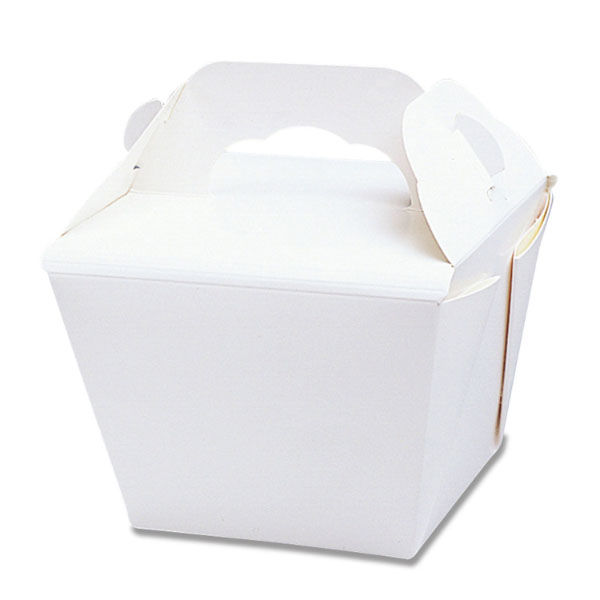 京王 カレー容器 FT-M (白無地) 30921531070 1ケース(500個(50個×10))（直送品）