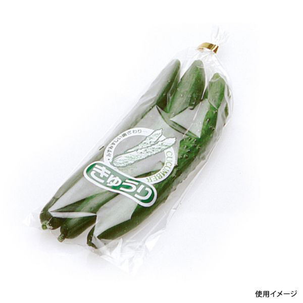 精工 平袋(青果) 新鮮パック きゅうり(小) 3120750800 1ケース(10000個(100個×100))（直送品）