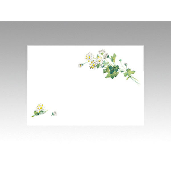 カミイソ産商 テーブルマット 尺3寸 No.254 小菊 72000254 1袋(100個)（直送品）