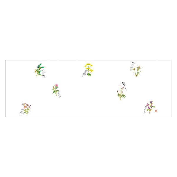 カミイソ産商 テーブルマット おてもとマット No.3316 秋野の花 77003316 1袋(100個)（直送品）