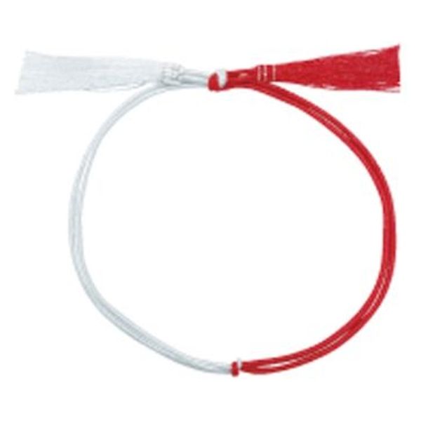 ラッピング用品 No.5 振分ゴム房 Bタイプ(振分) 大46cm 赤白金糸入 G1346RWR 1ケース(1000個(50個×20))（直送品）