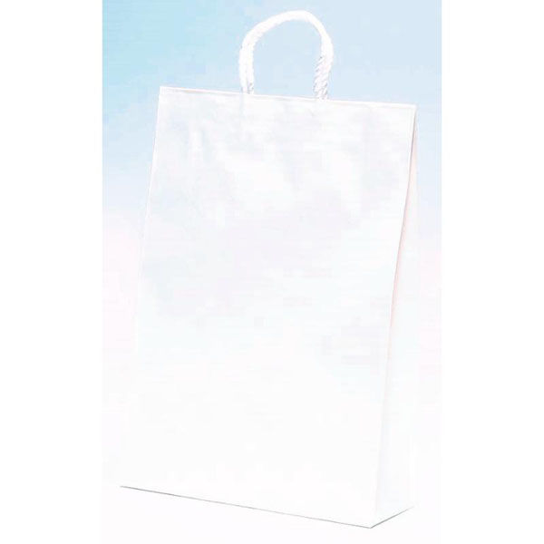 パックタケヤマ 紙手提袋 ST2才 白無地 XZT00795 1ケース(200個(50個×4))（直送品）