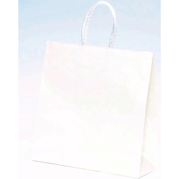 パックタケヤマ 紙手提袋 ST3才 白無地 XZT00798 1ケース(200個(50個×4))（直送品）