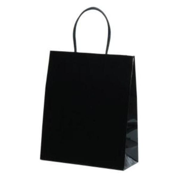 パックタケヤマ 紙手提袋 STB プリティ 黒 XZT00806 1ケース(100個(10個×10))（直送品）