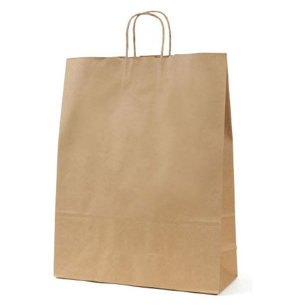 パックタケヤマ 紙手提袋 自動手提袋 HV140 未晒 無地 XZT00876 1ケース(200個(50個×4))（直送品）