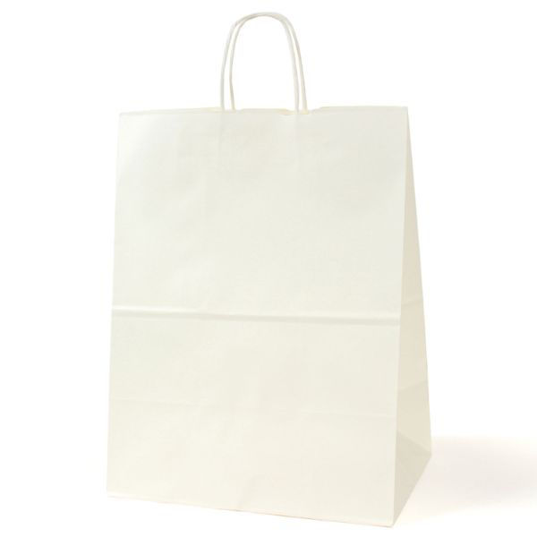 パックタケヤマ 紙手提袋 自動手提袋 HV80 晒 無地 XZT00932 1ケース(200個(50個×4))（直送品）