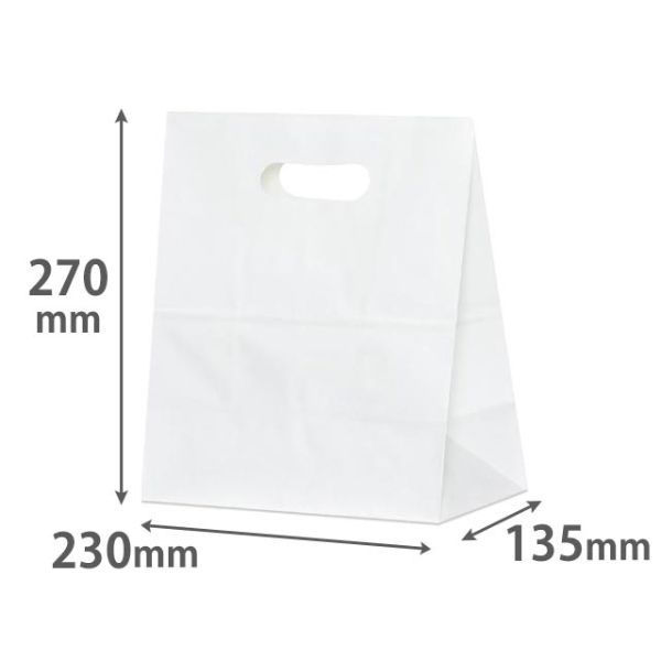 パックタケヤマ 紙手提袋 イーグリップ LL 白無地 XZT52024 1ケース(500個(50個×10))（直送品）