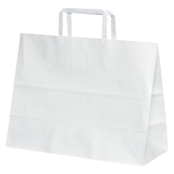 パックタケヤマ 紙手提袋 平紐手提袋 H平32 晒 無地 XZT69932 1ケース(200個(50個×4))（直送品）