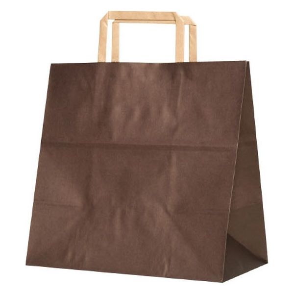 パックタケヤマ 紙手提袋 H平26 ショコラ XZT69939 1ケース(200個(50個×4))（直送品）