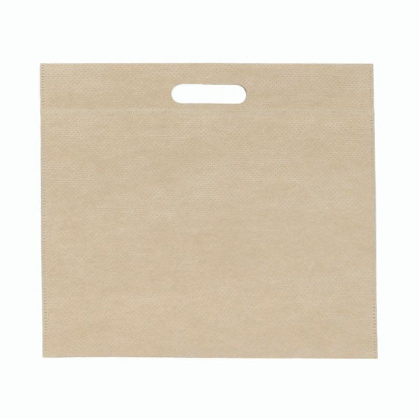 パックタケヤマ 保冷バッグ エコバッグ クラフト保冷バッグ XZV90730 1ケース(50個(10個×5))（直送品）