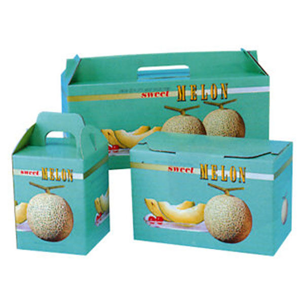 ギフト箱 紙箱 スイートメロン 2ケ用 00404852 1ケース(50個(10個×5))（直送品）