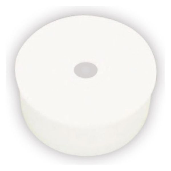 エブノ 752 粘着ローラーY型用 キャップ 00221570 1袋（直送品）