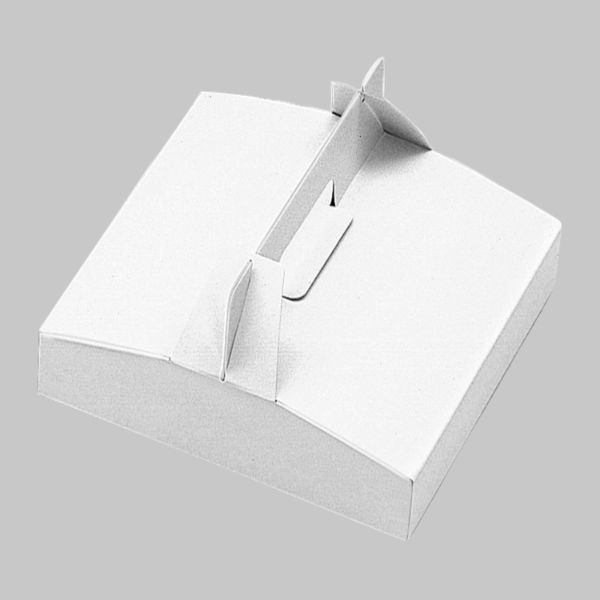 ピザ箱 無地箱No.9 02101 1ケース(100個(100個×1))（直送品）