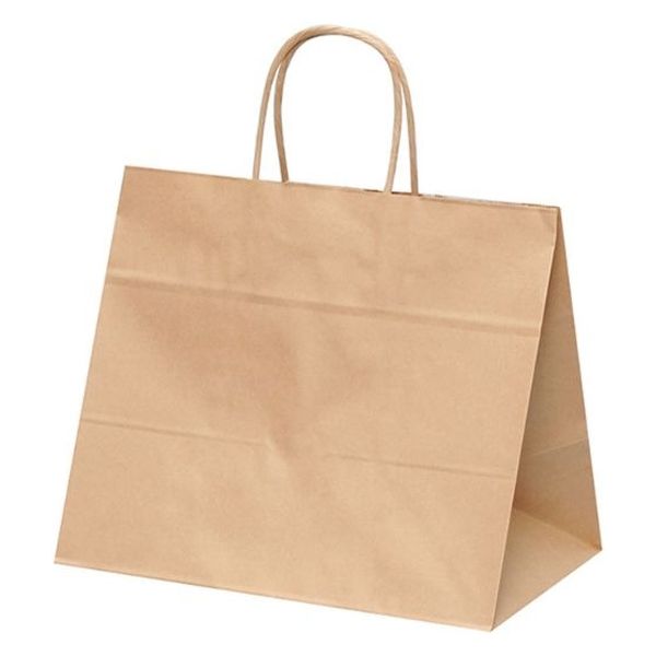 パックタケヤマ 紙手提袋 自動手提袋 HV68 未晒 無地 XZT00923 1ケース(200個(50個×4))（直送品）