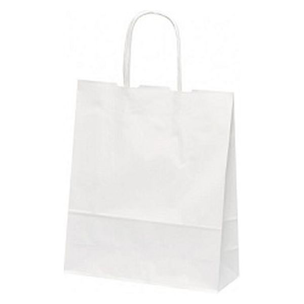 パックタケヤマ 紙手提袋 自動手提袋 HBT 晒無地 新 262336 1袋(50個)（直送品）