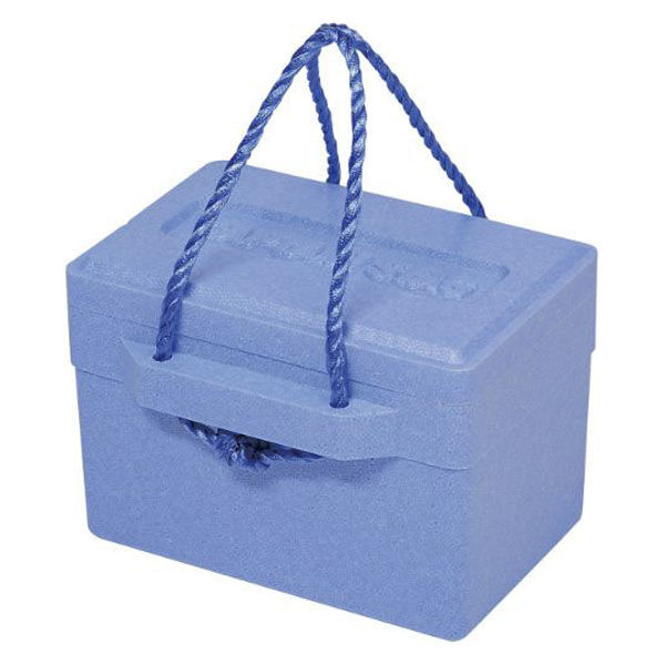 パール金属 保冷バッグ 発泡クーラーボックス8L M-8169 1ケース(6個)（直送品）