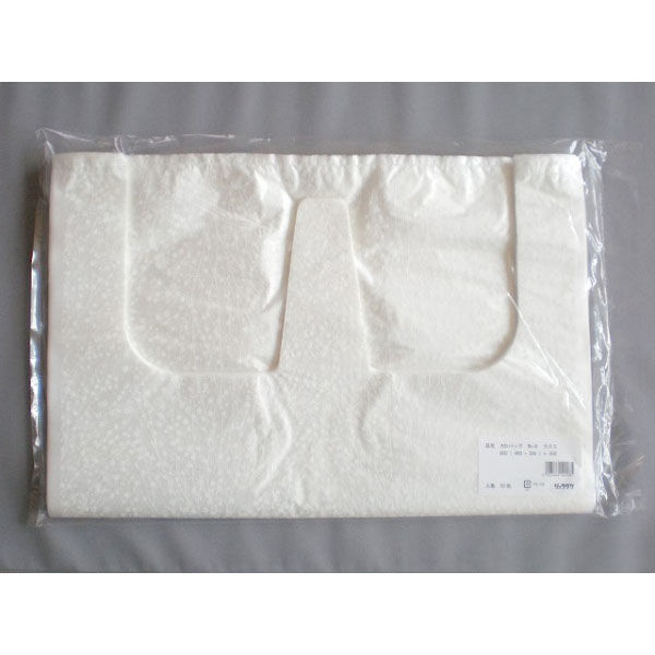 リュウグウ レジ袋 SDバッグ No.8-かすみ 4201528 1ケース(500個(50個×10))（直送品）