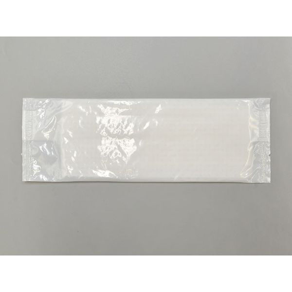 DNコーポレーション 紙おしぼり 新紙エンボスおしぼり 白 平型 乳白 O-120-3 1袋(100個)（直送品）