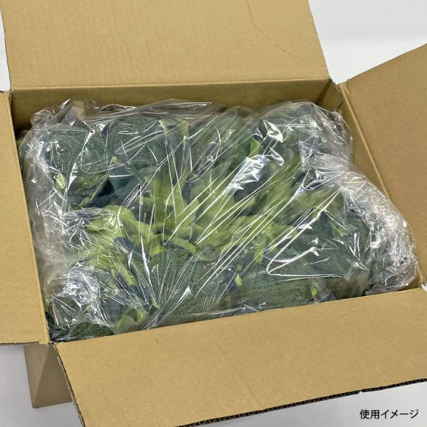 ベルグリーンワイズ 鮮度保持袋 オーラパック大袋7663規格品 51239 1ケース(500個(100個×5))（直送品）