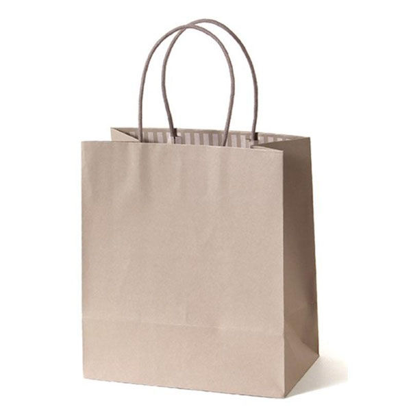 パックタケヤマ 紙手提袋 STカラーズ グレージュ XZT68330 1袋(10個)（直送品）