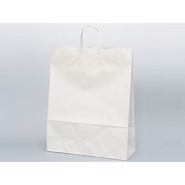 パックタケヤマ 紙手提袋 自動手提袋 HV140 晒 無地 XZT00880 1袋(50個)（直送品）