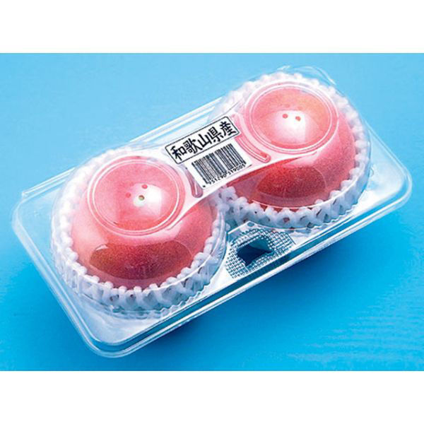 フルーツ容器 フルーツパック L-2 200304 1ケース(1200個(100個×12))（直送品）