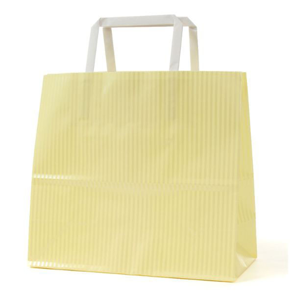 パックタケヤマ 紙手提袋 平紐手提袋 H平24 クリスタル イエロー 69109 1ケース(200個(50個×4))（直送品）