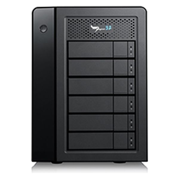 Promise  Ｐｅｇａｓｕｓ３２　Ｒ６　２４ＴＢ（４ＴＢ×６）モデル F40P2R600000004（直送品）