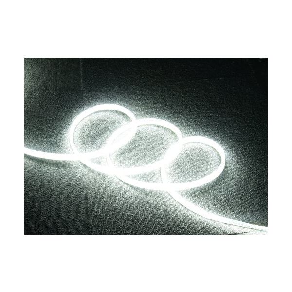 富士倉 両面発光LEDロープライト 5M 白色 FRL-W5M-W 1巻 687-5616（直送品）