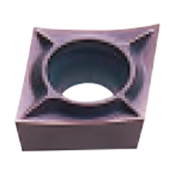 CCGT060201M-FS（直送品）