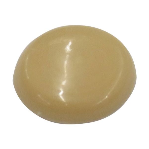 ダイドーハント DAIDОHANT ビスキャップ ベージュ (直径13mm) 「50個入」(座金別売) 10173425 1パック(50個)（直送品）