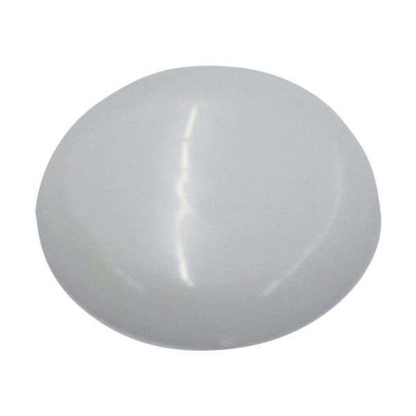 ダイドーハント DAIDОHANT ビスキャップ 白 (直径13mm) 「50個入」(座金別売) 10173427 1パック(50個)（直送品）