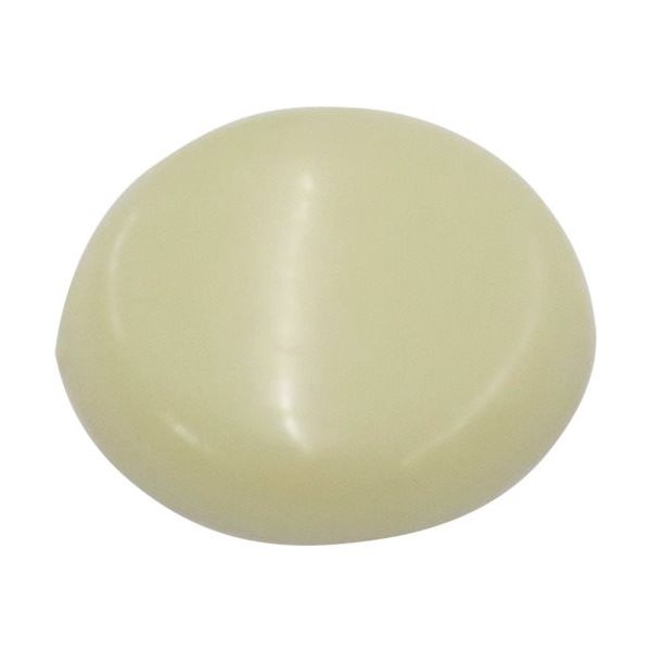 ダイドーハント DAIDОHANT ビスキャップ クリーム (直径13mm) 「50個入」(座金別売) 10173428 1パック(50個)（直送品）