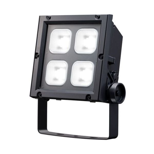 岩崎電気 岩崎 LEDioc FLOOD NEO 150クラス ECF15040SW/NSAN8/DG 1台 684-7637（直送品）