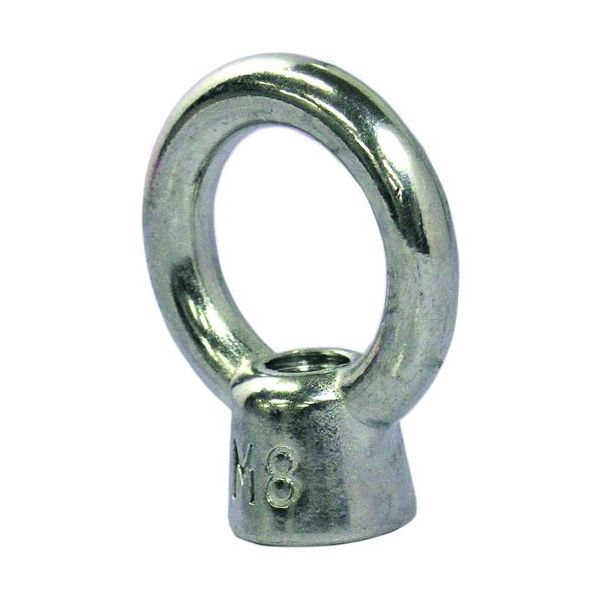 ダイドーハント DAIDОHANT ステンレス アイナット 10mm 10101982 1個 679-5071（直送品）